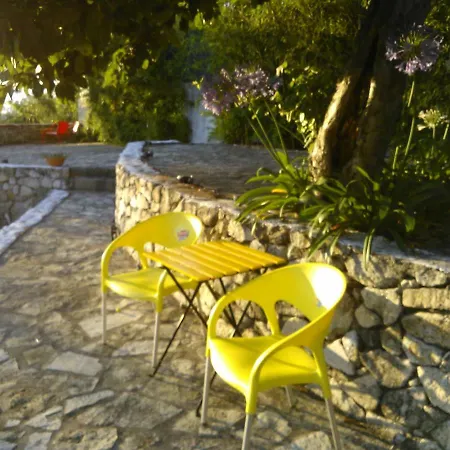 Casa Dos Passaros